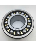 Cylindrical Roller Bearings